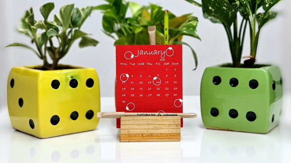 plantable calendar 2022 made of eco-friendly plantable seed paper with screen printed with wooden stand, plantable pen, plantable pencil. Customize 2022 calendar. Desktop calendar 2022 made of paper, plantable seed paper products, calendar 2022