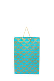 Eco - friendly Handmade Paper Vertical Bags (Mix Colour) - DEVRAAJ HANDMADE PAPER, PLANTABLE SEED PAPERS & PAPER PRODUCTS - 10 bags