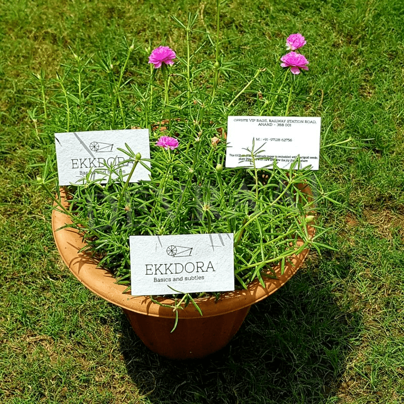 plant seed business card Plantable Business Card