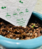 Plantable Thank You Cards 4"x4" Size - DEVRAAJ HANDMADE PAPER, PLANTABLE SEED PAPERS & PAPER PRODUCTS - 50 Cards