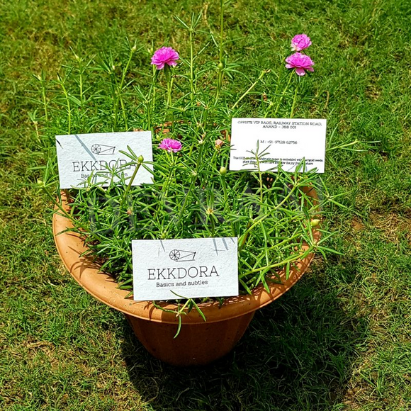 Devraaj Eco-friendly plantable seed paper business cards with flower lying on grass
