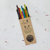 Devraaj Eco-Friendly Plantable Colour Paper Seed Pencils In Box Packing