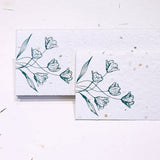 Plantable Seed Paper Money Envelopes - Printed