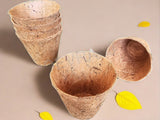 eco friendly pots for plants and trees made of coconut waste