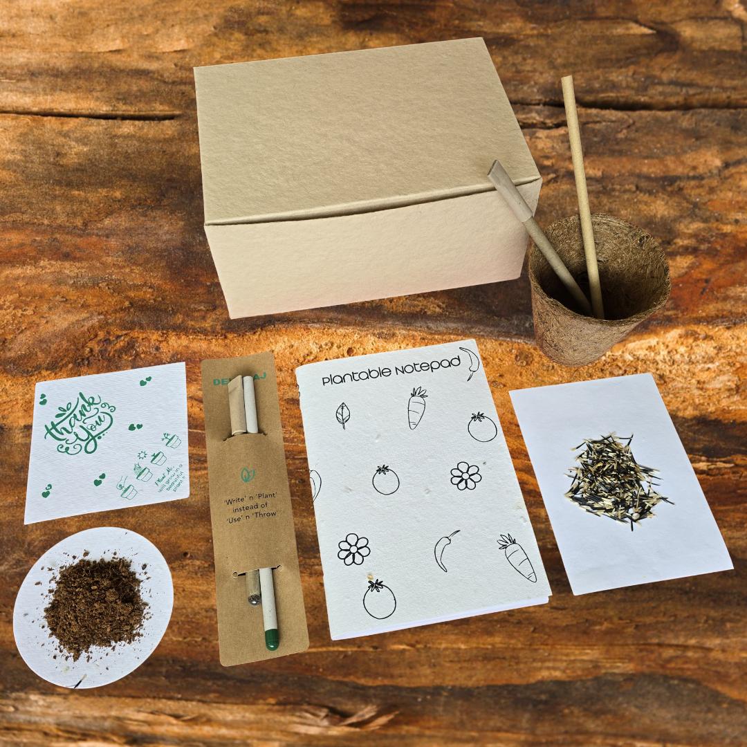 Eco-Friendly Plantable Mini Grow Kit Set – DEVRAAJ HANDMADE PAPER ...