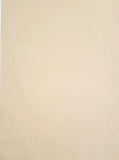 Colour Handmade Paper Sheets 100 gsm with A4 size Set of 50 sheets - DEVRAAJ HANDMADE PAPER, PLANTABLE SEED PAPERS & PAPER PRODUCTS - Off White