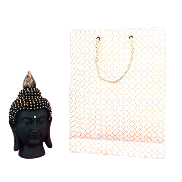 Devraaj Eco - friendly Handmade paper Bags set of 25 bags - DEVRAAJ HANDMADE PAPER, PLANTABLE SEED PAPERS & PAPER PRODUCTS - 