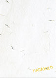 Eco - Friendly and Sustainable Plantable Seed Paper Sheets And Cards - DEVRAAJ HANDMADE PAPER, PLANTABLE SEED PAPERS & PAPER PRODUCTS - 