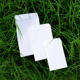 Eco - friendly Plantable Chilli Seed Paper cards with Envelopes set of 200 pcs - DEVRAAJ HANDMADE PAPER, PLANTABLE SEED PAPERS & PAPER PRODUCTS - 5.5"x8.25"