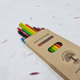 Eco - friendly Plantable Seed Pen & Pencils - DEVRAAJ HANDMADE PAPER, PLANTABLE SEED PAPERS & PAPER PRODUCTS - 