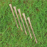 Eco - friendly Plantable Seed Pen & Pencils - DEVRAAJ HANDMADE PAPER, PLANTABLE SEED PAPERS & PAPER PRODUCTS - 