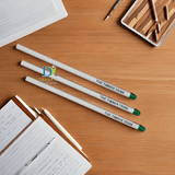 Eco-friendly Plantable Seed Pencils | Corporate Branding | Gifting - DEVRAAJ HANDMADE PAPER, PLANTABLE SEED PAPERS & PAPER PRODUCTS -