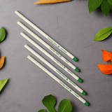 Eco-friendly Plantable Seed Pencils | Corporate Branding | Gifting - DEVRAAJ HANDMADE PAPER, PLANTABLE SEED PAPERS & PAPER PRODUCTS -