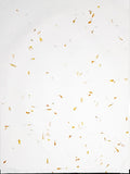 Flower Petal Handmade Paper - DEVRAAJ HANDMADE PAPER, PLANTABLE SEED PAPERS & PAPER PRODUCTS - 