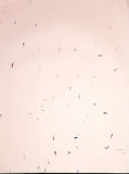 Flower Petal Handmade Paper - DEVRAAJ HANDMADE PAPER, PLANTABLE SEED PAPERS & PAPER PRODUCTS - 