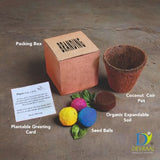 Grow Kit - Best For Corporate Gifting And Kids DIY Activities, Gifting - DEVRAAJ HANDMADE PAPER, PLANTABLE SEED PAPERS & PAPER PRODUCTS - 