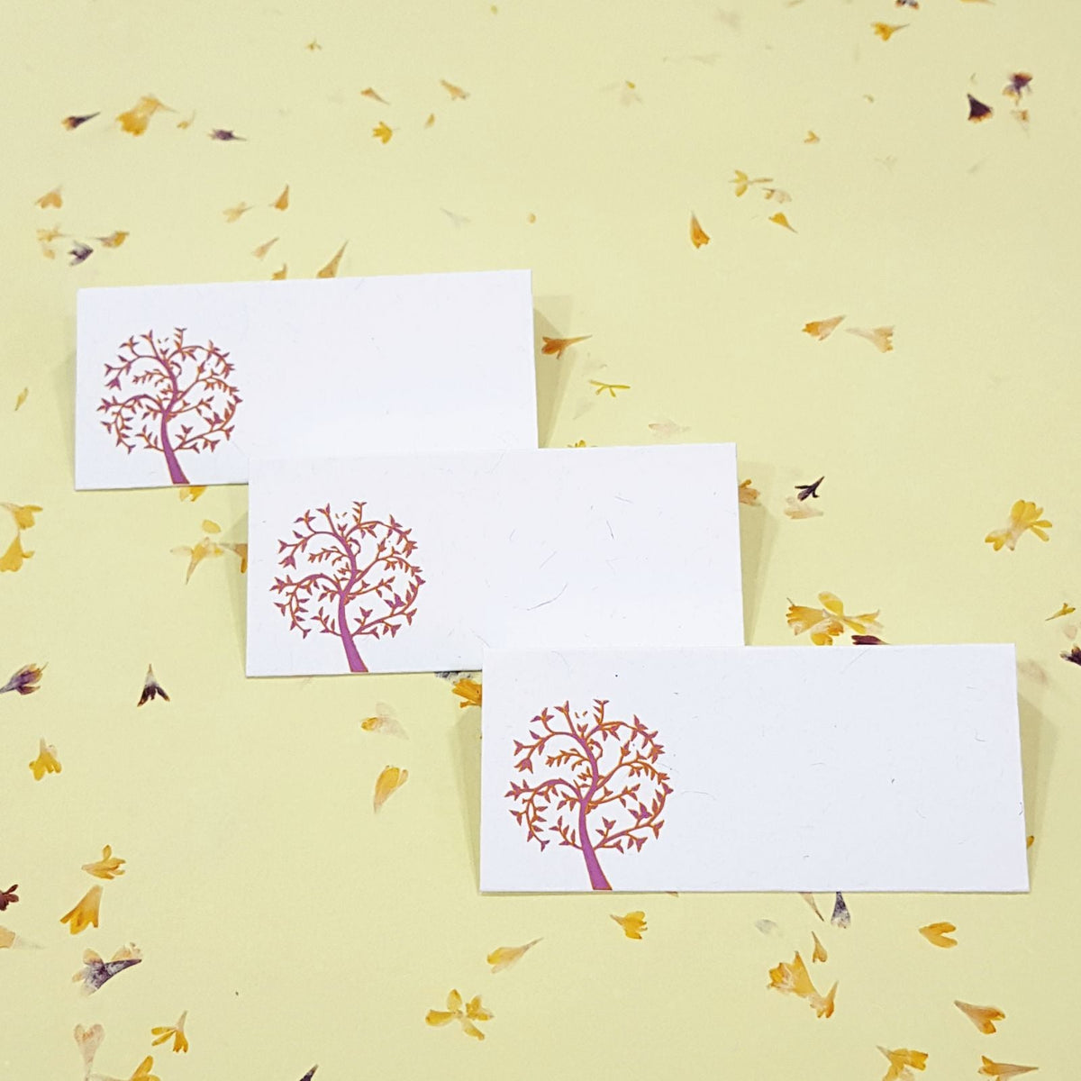 Eco-Friendly Money & Shagun Envelopes - Various Designs – DEVRAAJ ...