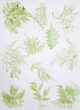 Leaf Impression Gift Wrapping Paper in Pack of 10 Sheets - DEVRAAJ HANDMADE PAPER, PLANTABLE SEED PAPERS & PAPER PRODUCTS - 