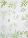 Leaf Impression Gift Wrapping Paper in Pack of 10 Sheets - DEVRAAJ HANDMADE PAPER, PLANTABLE SEED PAPERS & PAPER PRODUCTS - 