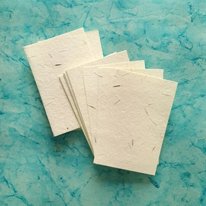 Off White Plantable Marigold Seed Paper pack of - DEVRAAJ HANDMADE PAPER, PLANTABLE SEED PAPERS & PAPER PRODUCTS - 4"x6"