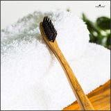 Park Daniel Pure and Natural Bamboo Wooden ECO Friendly Charcoal Toothbrush with Soft Medium Bristles(02 Pcs.) Medium Toothbrush (2 Toothbrushes) - DEVRAAJ HANDMADE PAPER, PLANTABLE SEED PAPERS & PAPER PRODUCTS - Free Size