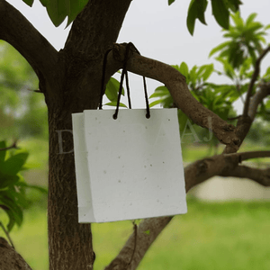 Plantable Seed Paper Bags - DEVRAAJ HANDMADE PAPER, PLANTABLE SEED PAPERS & PAPER PRODUCTS - 