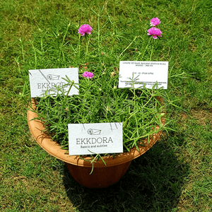 Plantable Seed Paper Business Cards - DEVRAAJ HANDMADE PAPER, PLANTABLE SEED PAPERS & PAPER PRODUCTS - 