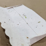 Plantable Seed Paper Money Envelopes - Without Front Side Print - DEVRAAJ HANDMADE PAPER, PLANTABLE SEED PAPERS & PAPER PRODUCTS - 25 nos