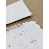 Plantable Seed Paper Money Envelopes - Without Front Side Print - DEVRAAJ HANDMADE PAPER, PLANTABLE SEED PAPERS & PAPER PRODUCTS - 25 nos