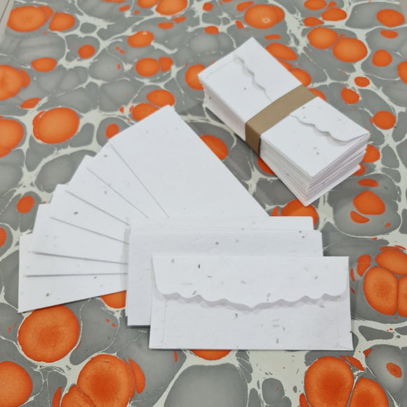 Plantable Seed Paper Money Envelopes - Without Front Side Print - DEVRAAJ HANDMADE PAPER, PLANTABLE SEED PAPERS & PAPER PRODUCTS - 25 nos