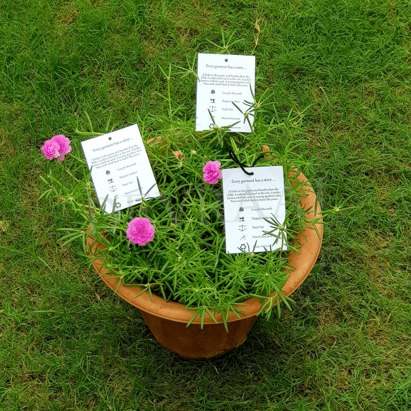 Biodegradable Nature-Friendly Customisable Seed Paper Tags – DEVRAAJ ...