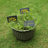 Plantable Seed Paper Price Tags - DEVRAAJ HANDMADE PAPER, PLANTABLE SEED PAPERS & PAPER PRODUCTS - 