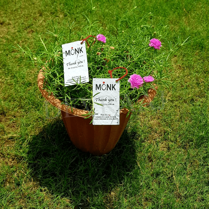 Biodegradable Nature-Friendly Customisable Seed Paper Tags – DEVRAAJ ...