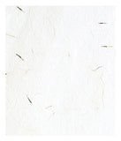 Plantable Seed Papers In A3 Size - DEVRAAJ HANDMADE PAPER, PLANTABLE SEED PAPERS & PAPER PRODUCTS - Marigold