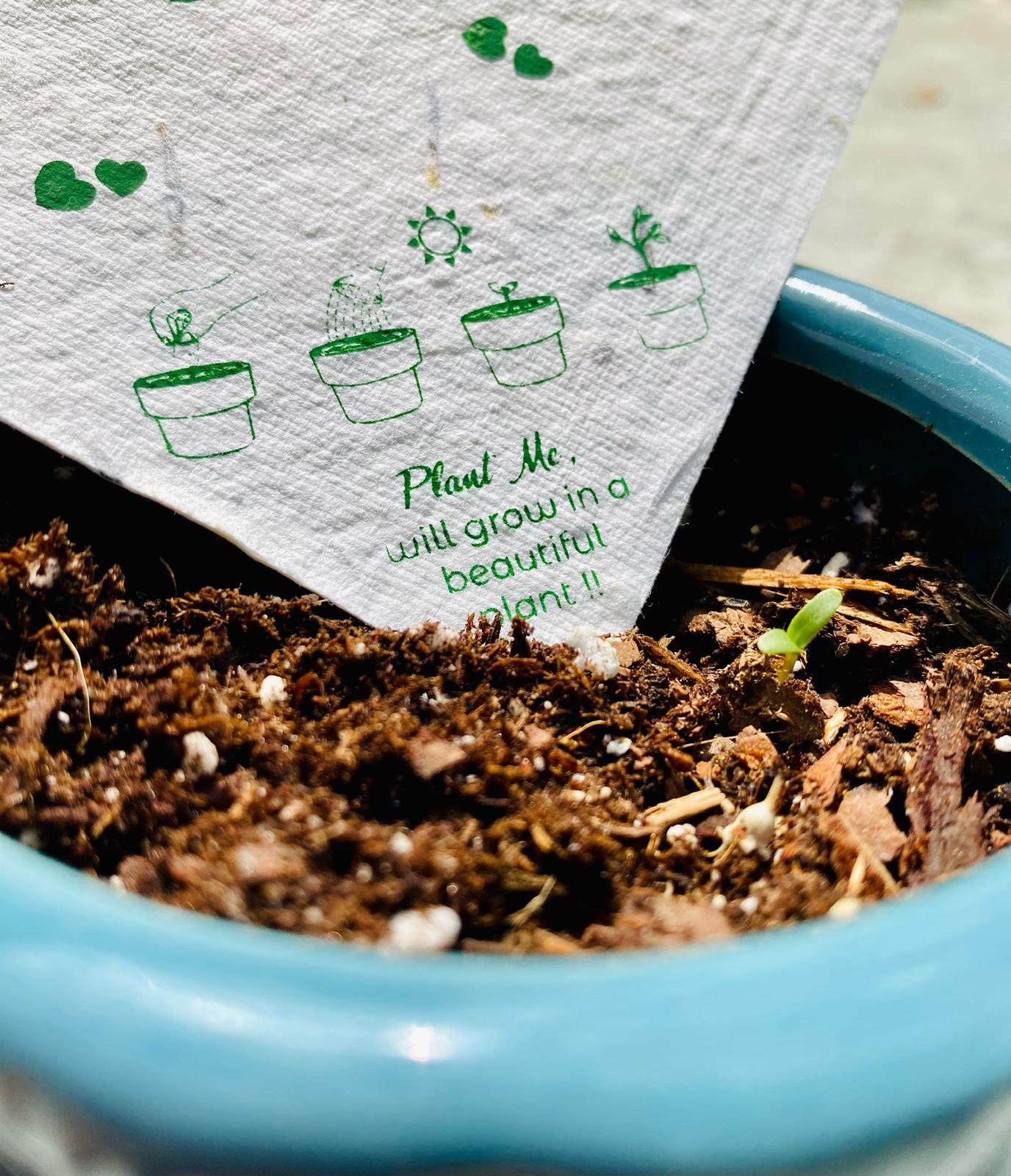thank you cards with flower seeds Eco-friendly Plantable Thank You Card