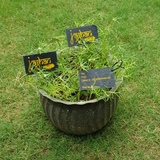 Plantable Tags in India 21fools seedpaperindia Botanicalpaperworks wedmegood Bloomin foreverfiances Plantcil Peppa BIOQ