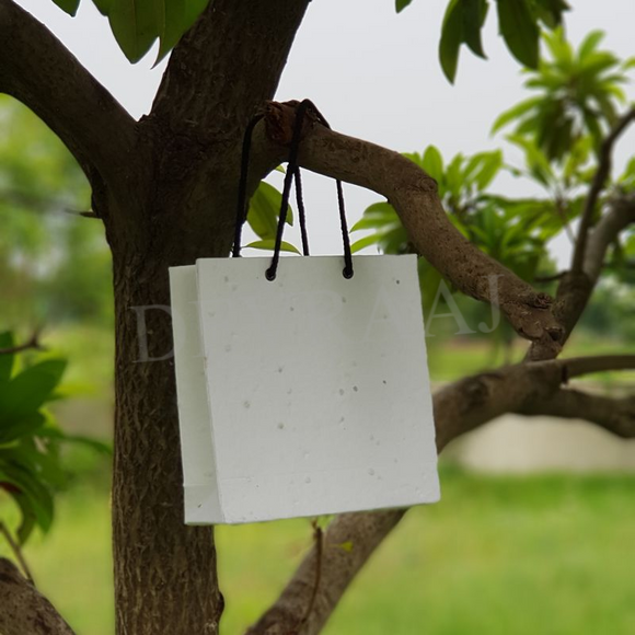 Eco-Friendly Plantable Seed Paper Bags perfect for wedding birthday engagement gifts and corporate gifting made by hand