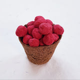 Plantable seed bomb in red colour in coconut coir pot