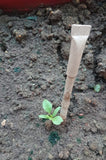 Devraaj Eco-friendly Plantable Seed Pens -  Loose Packing
