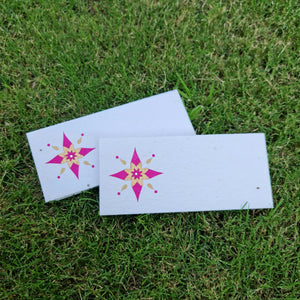 Plantable seed paper money and shagun envelopes with star design printed in golden ink