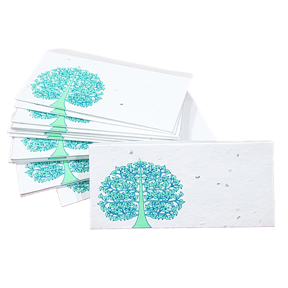 Plantable Seed Paper Money Envelopes - Printed