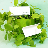 Eco-friendly plantable seed paper money envelopes wedding envelopes gift envelopes corporate envelopes